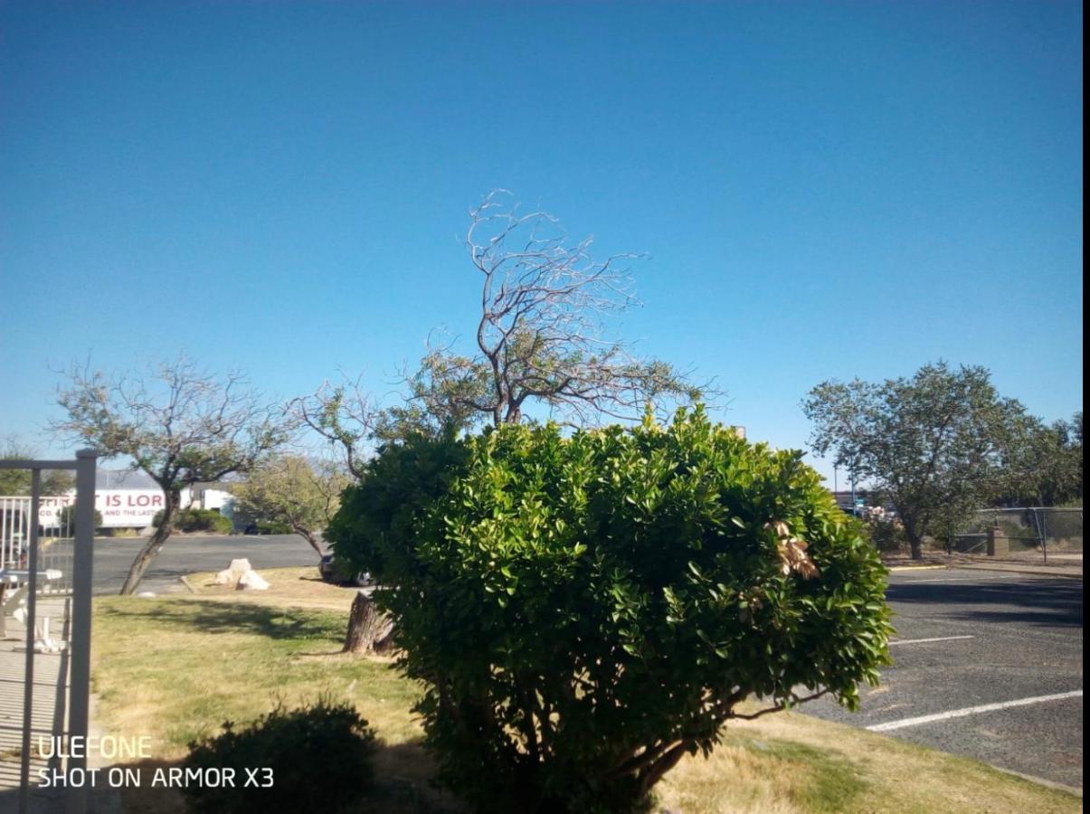 Willcox Extended Inn And Suites Exterior foto